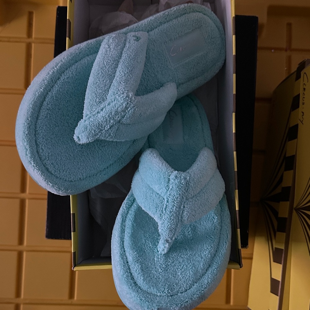 Sam Edelman Fluffy Blue Slippers